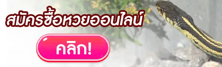 สมัครซื้อหวยออนไลน์