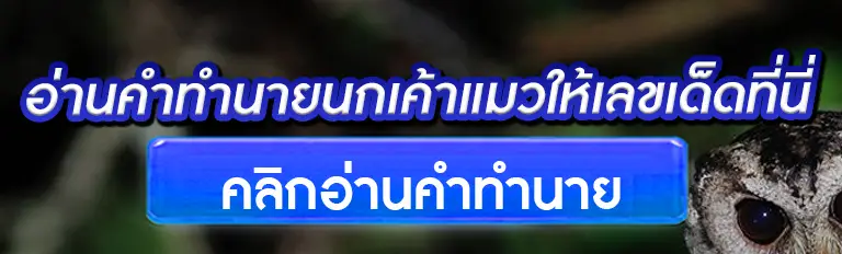 อ่านคำทำนายนกเค้าแมวให้เลขเด็ดที่นี่